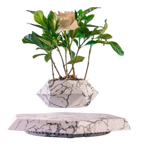 LEV Plant™ Pot de fleurs flottant