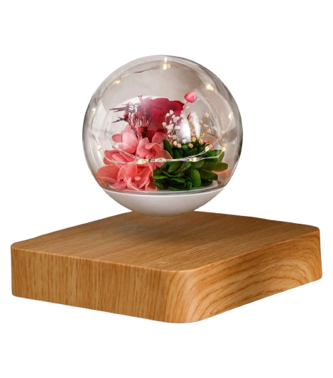 Levitating rose bulb lamp with soft LED lights