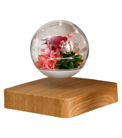 Levitating rose bulb lamp with soft LED lights