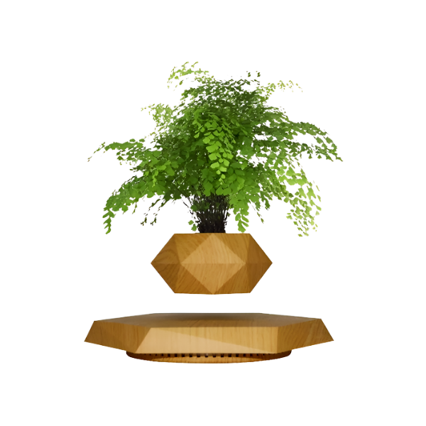 LEV Plant™ Pot de fleurs flottant