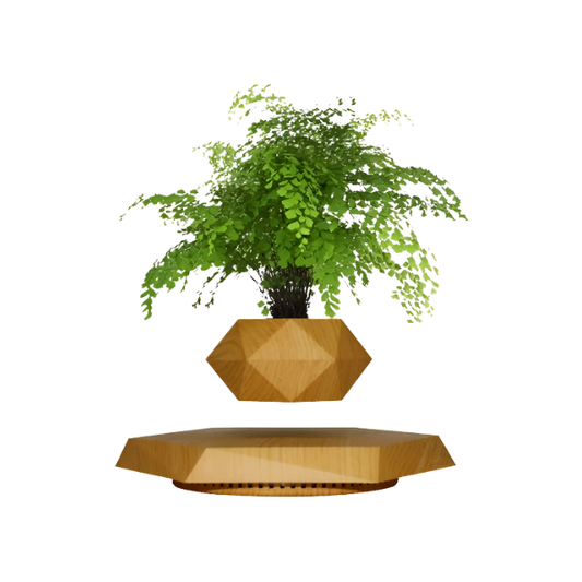 LEV Plant™ Floating Plant Pot