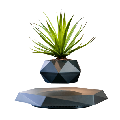 LEV Plant™ Pot de fleurs flottant