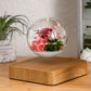 Romantic floating rose lamp in modern living room