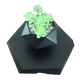LEV Plant™ Pot de fleurs flottant