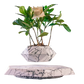 LEV Plant™ Pot de fleurs flottant